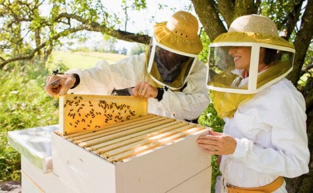 beekeeping russia1 fill