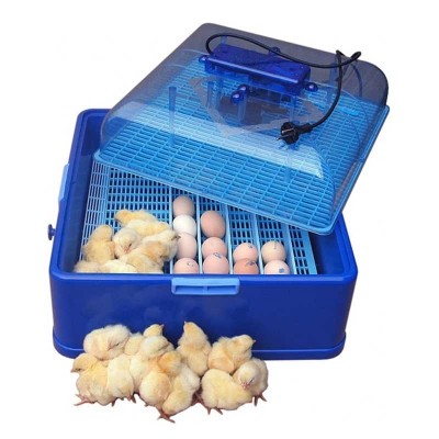 Инкубатор для куриных яиц